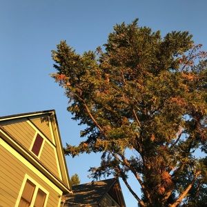 Meet your Posher, Joaquin